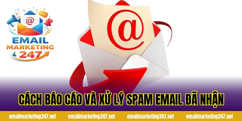 Cách báo cáo và xử lý spam email đã nhận
