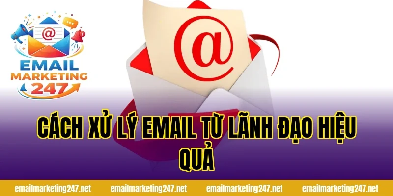 Cách xử lý email từ lãnh đạo hiệu quả