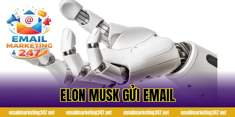 elon musk gửi email