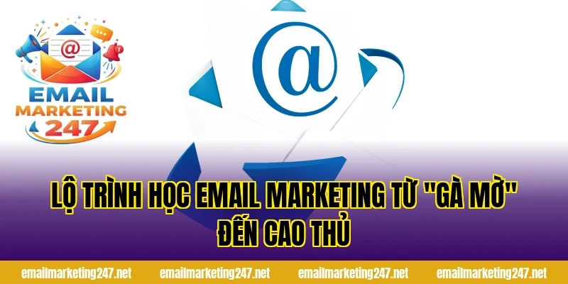 Lộ trình học email marketing từ "Gà mờ" đến Cao thủ