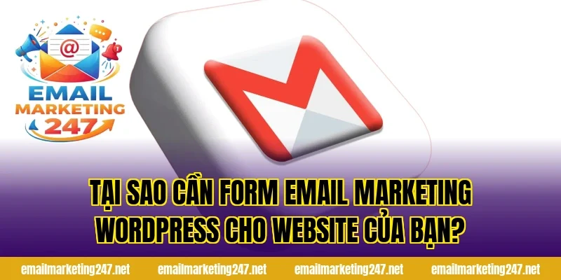 Tại sao cần form email marketing wordpress cho website của bạn?