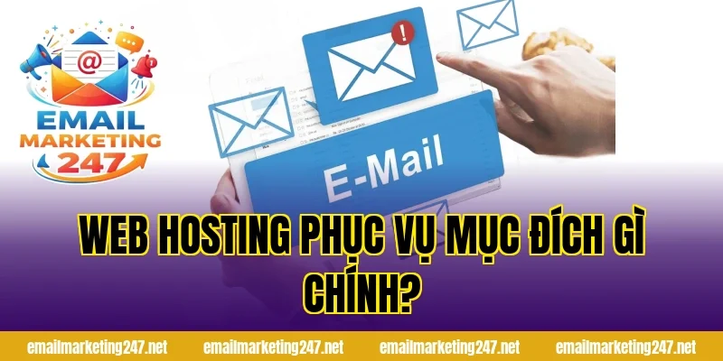 Web Hosting phục vụ mục đích gì chính?