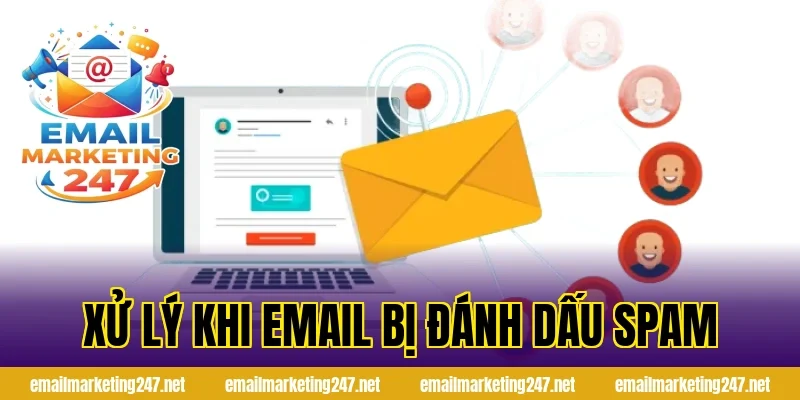 Xử lý khi email bị đánh dấu spam