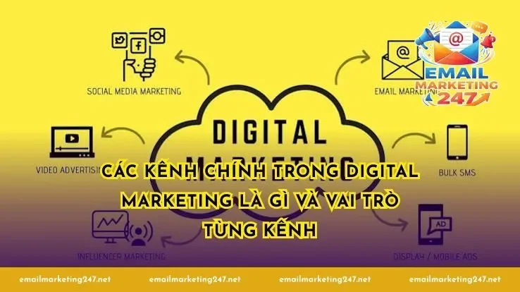 Các kênh chính trong digital marketing là gì và vai trò từng kênh
