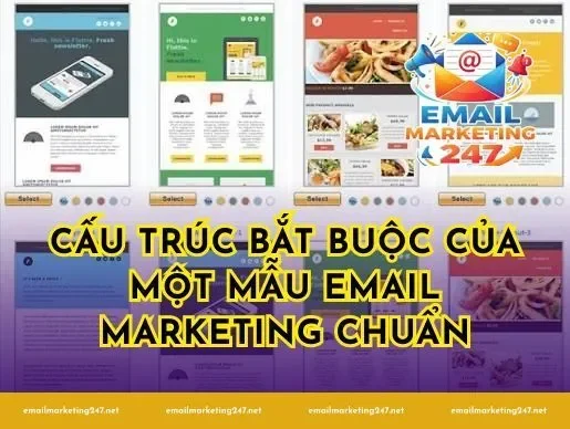 Cấu trúc bắt buộc của một mẫu email marketing chuẩn