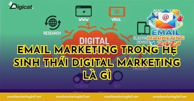 Email Marketing trong hệ sinh thái digital marketing là gì