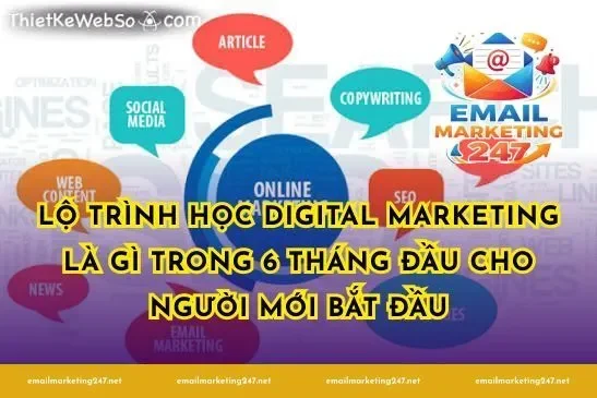 Lộ trình học digital marketing là gì trong 6 tháng đầu cho người mới bắt đầu