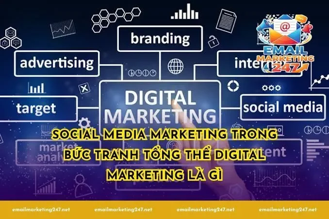 Social Media Marketing trong bức tranh tổng thể digital marketing là gì